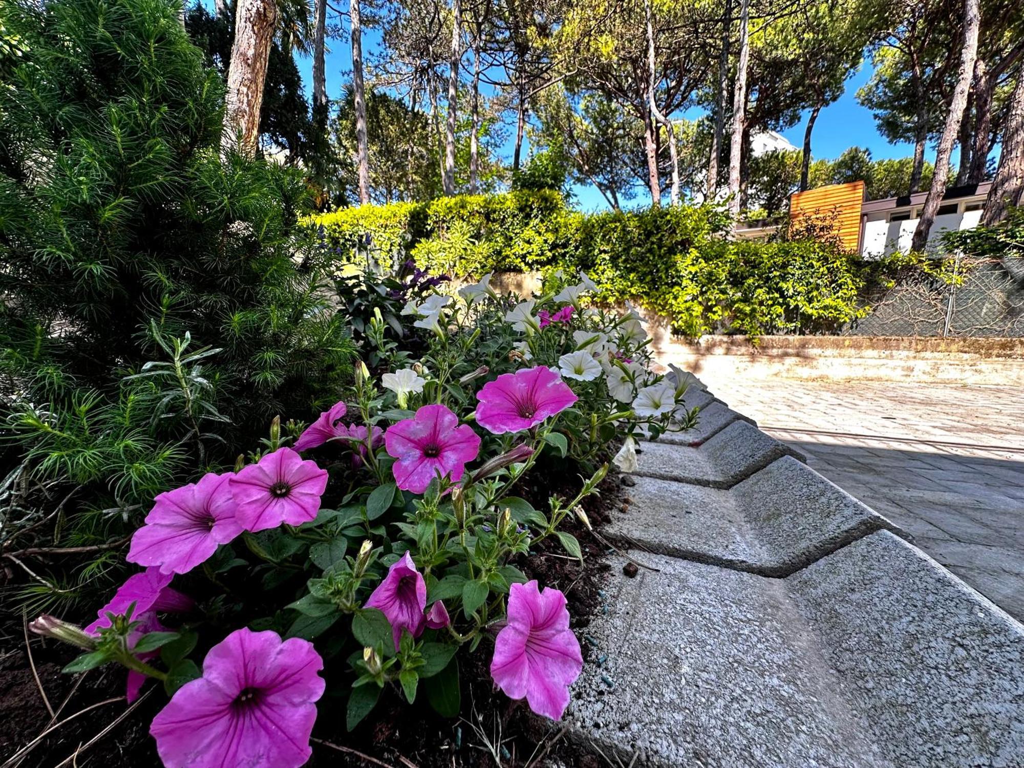 Villa Greif Pineta Линяно Сабиадоро Екстериор снимка